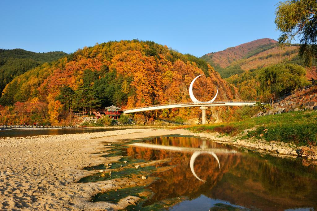 정선 아우라지 관련 사진