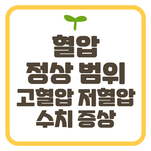 혈압 정상 범위 수축기 이완기 고혈압 저혈압 수치 증상