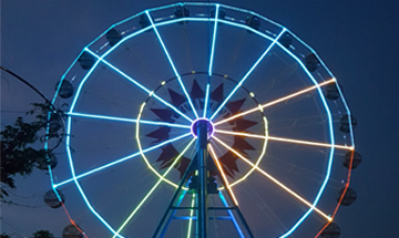 곡성 세계장미축체