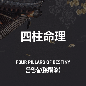 음양살(陰陽煞) 사주 특징, 해석, 뜻, 의미, 직업