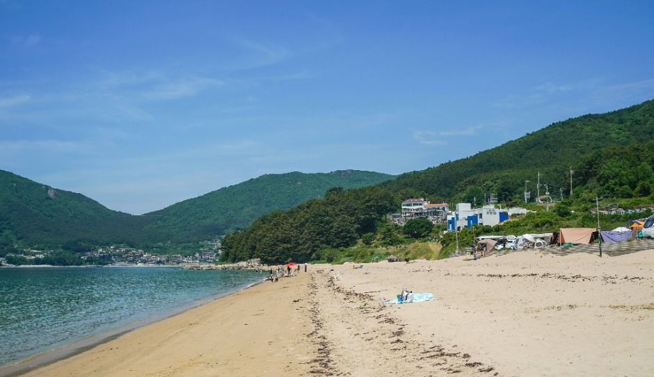 남해안 반려견 겨울 나들이 명소, 강아지와 함께 걷기 좋은 바다 산책 코스