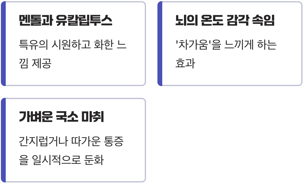 시원한 느낌의 비밀, 멘톨과 유칼립투스