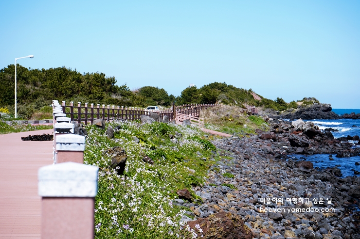 제주도 가볼만한곳 10곳