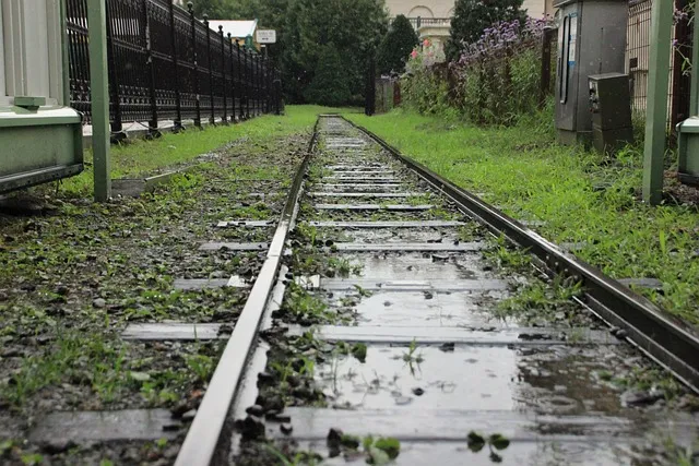 에버랜드 입장료 퍼레이드 어트랙션까지 하루 즐기기 가이드_4