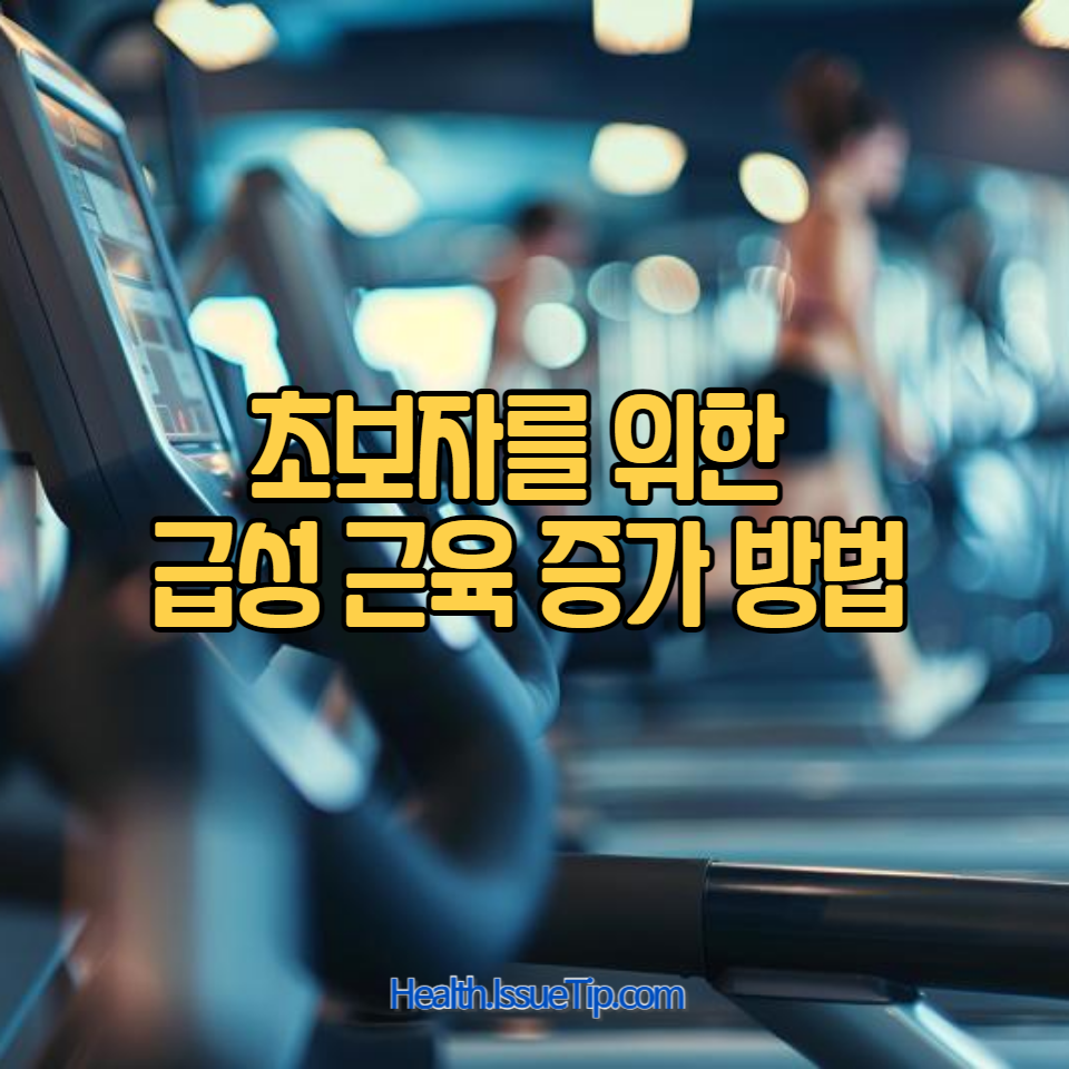 운동 안하던 사람도 따라할 수 있는 근육 증가 계획