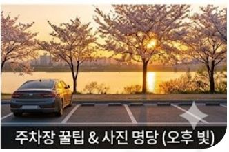인생샷
