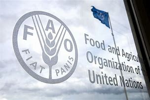 FAO(국제식량농업기구)에 관련 이미지