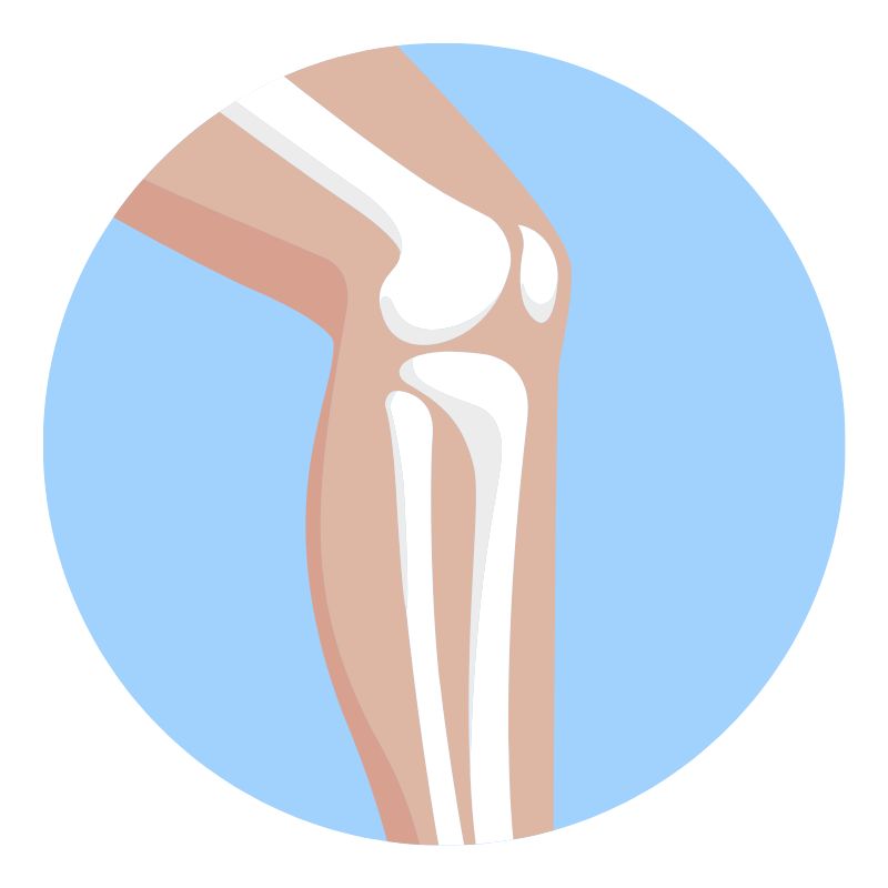 무릎 관절에 좋은 영양제