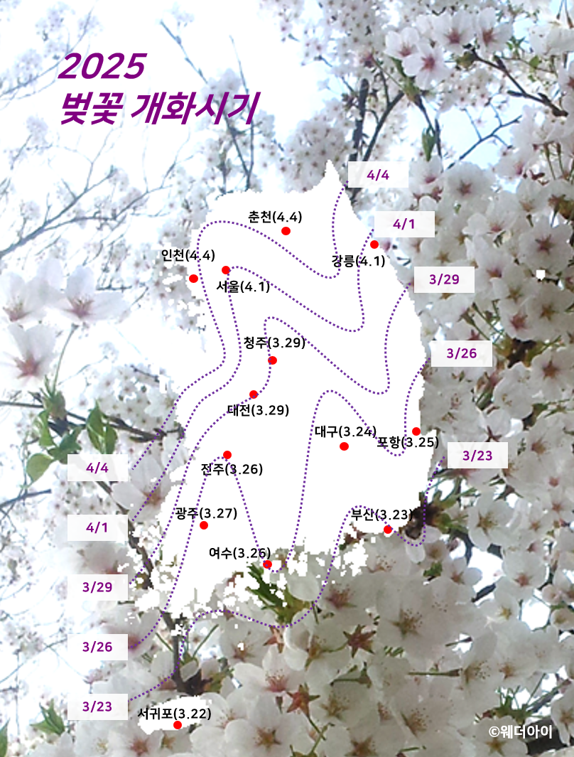 2025년 벚꽃 개화 시기 및 전국 명소 추천