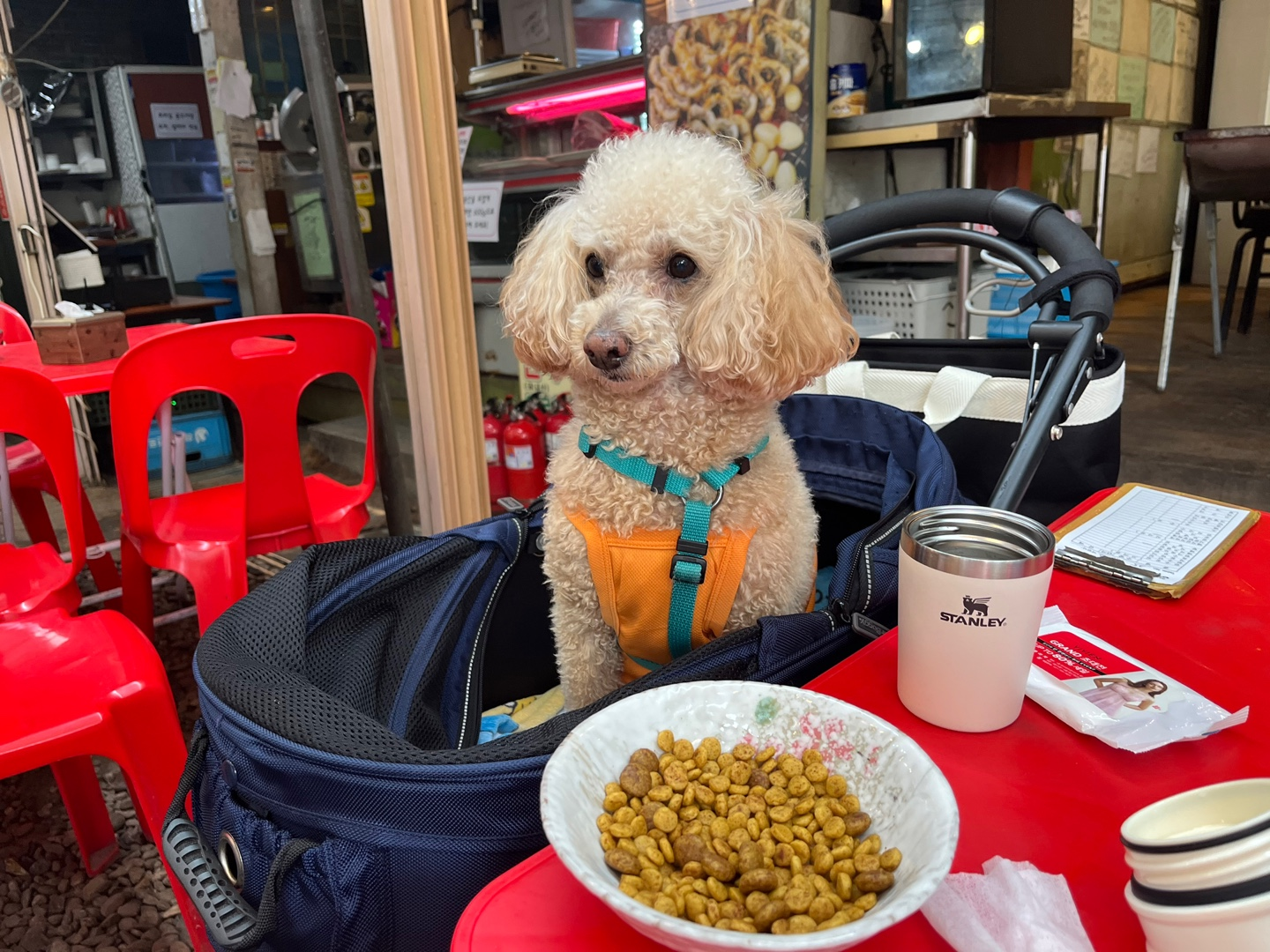청계산 여울더울 반려견 동반