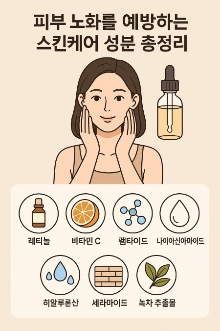 피부 노화를 예방하는 스킨케어 성분