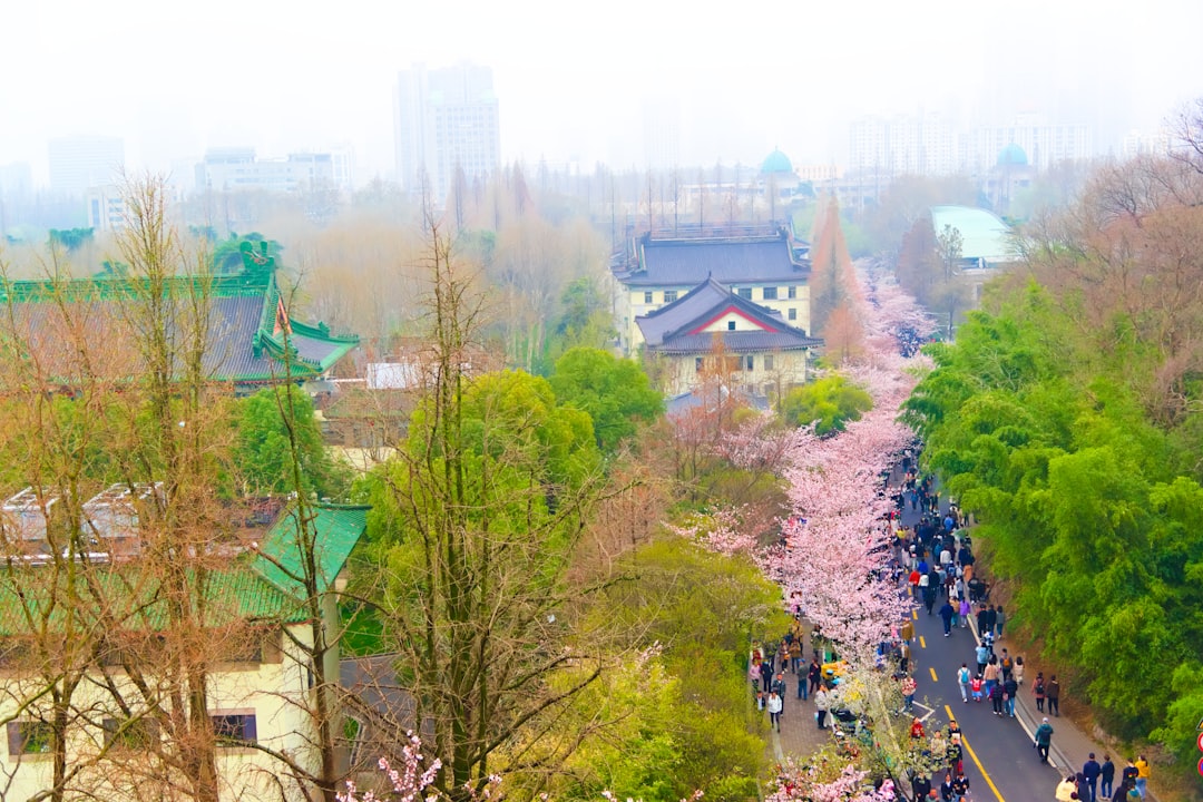 Seoul Marathon