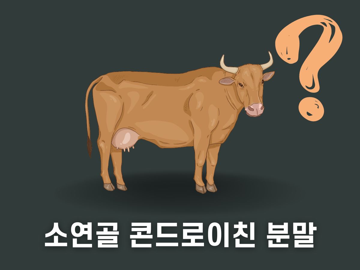 소연골 콘드로이친 분말