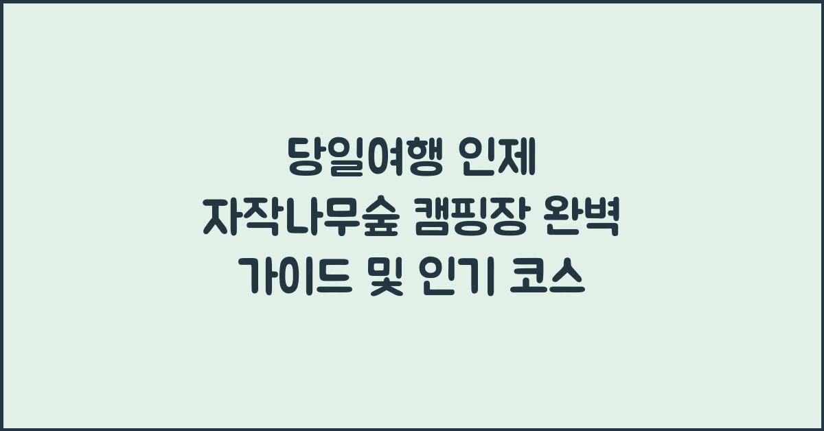 당일여행 인제 자작나무숲 캠핑장