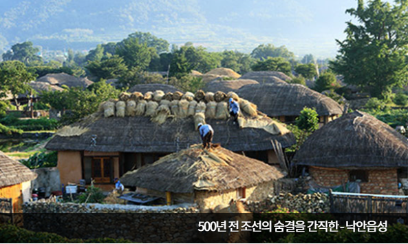 순천만습지 갈대밭