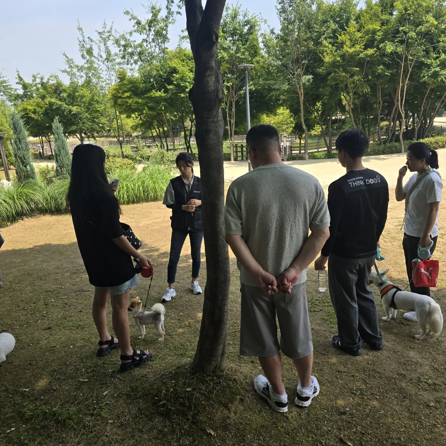 가평 자라섬 중도 제2회 반려동물 문화축제 일정 꽃 페스타 반려견 캐리커처 세미나 스냅 사진 신청 방법