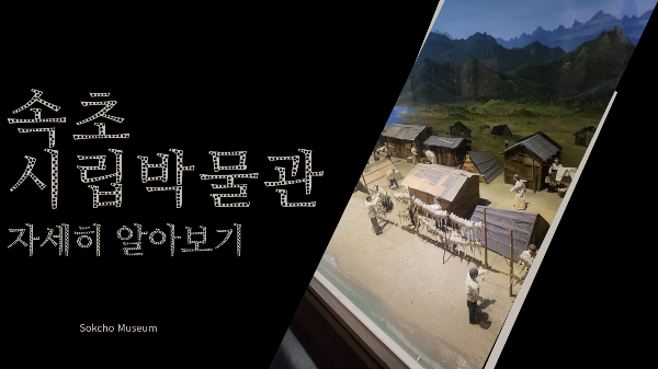 속초시립박물관 자세히 알아보기