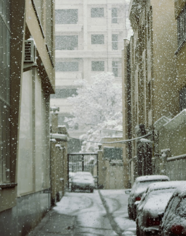 와이퍼 세워두는 진짜 이유 3가지