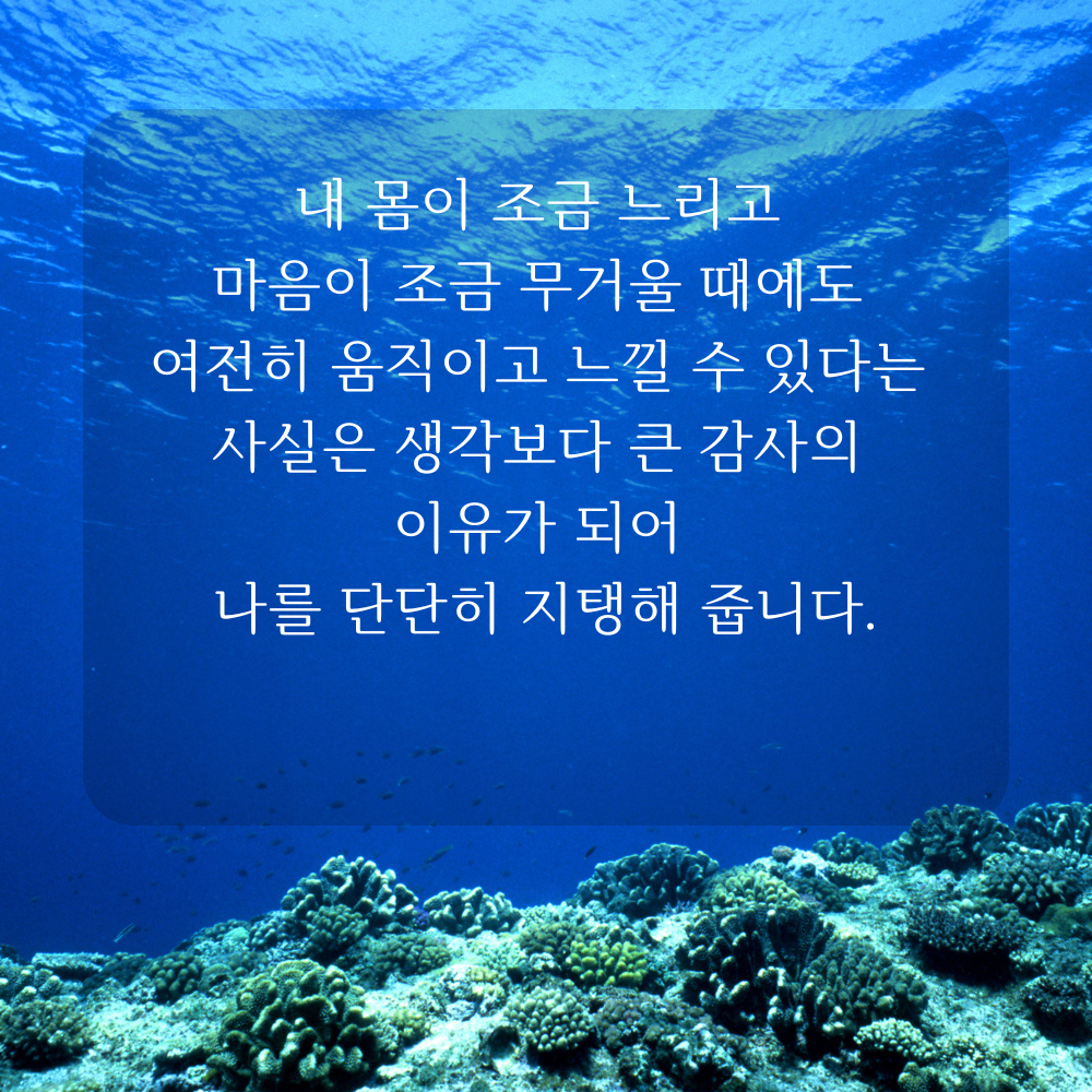 감사 글귀 좋은글 이미지 문구
