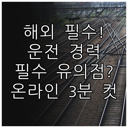 운전경력증명서 영문 발급 시 유의사항..