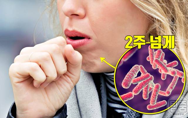 40대 50대 2주 넘게 기침 결핵 폐암