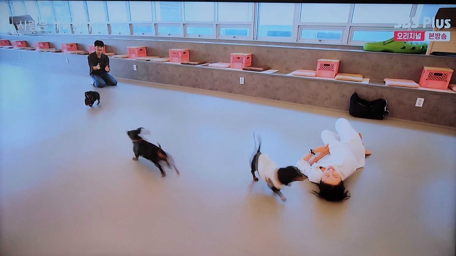 데이트