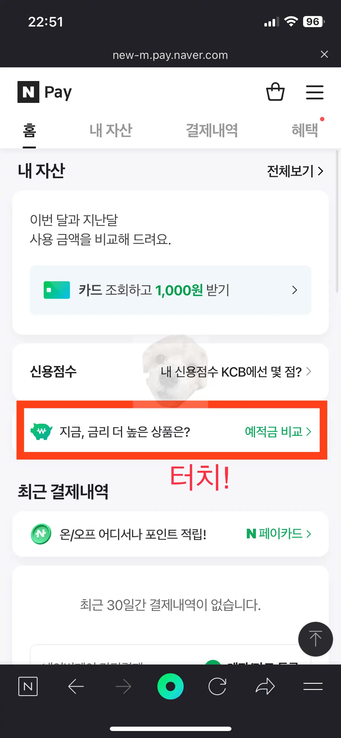 네이버 앱 내의 네이버페이 화면