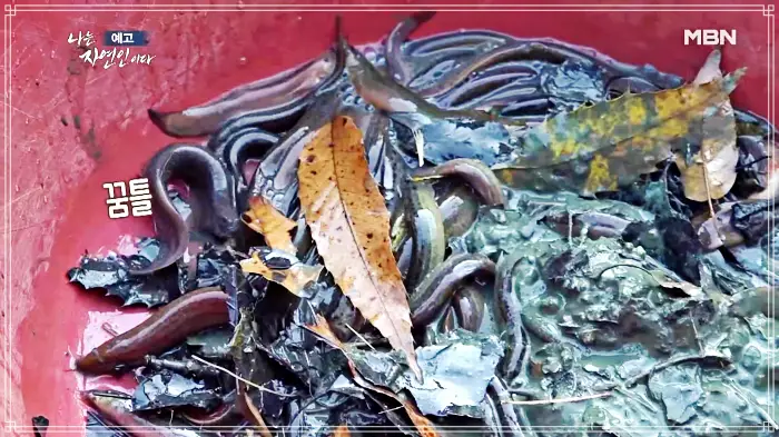 나는-자연인이다-윤택