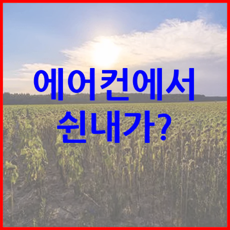 에어컨 쉰 냄새