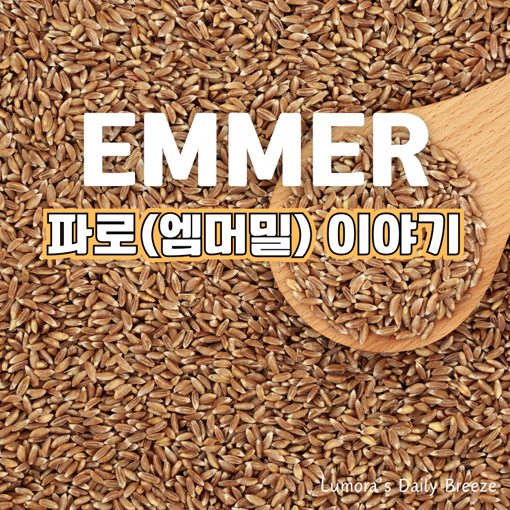 엠머밀 파로 효능과 부작용, 밥짓는법