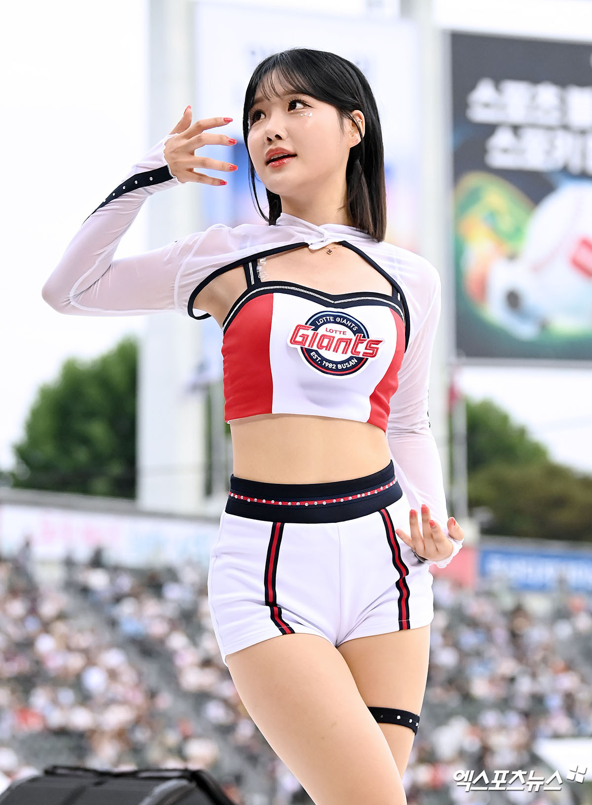 롯데 최홍라 치어리더 무대