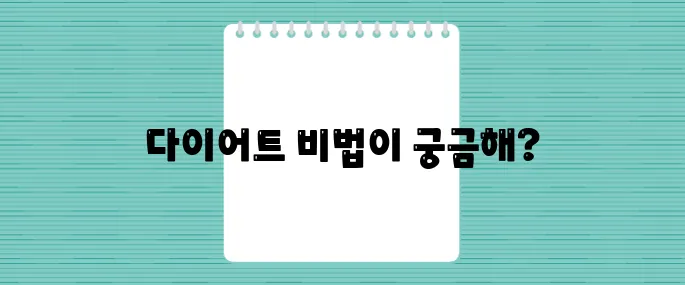 효과적인 다이어트 식단과 함께 사용하는 다이어트약 추천