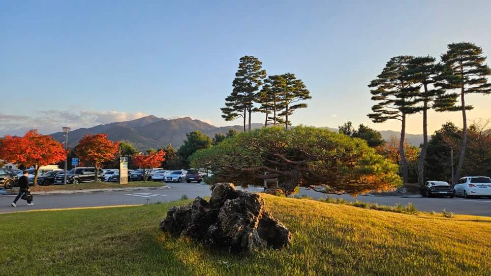 골프장 경험담 알프스 대영CC 자연이 품은 명문 골프코스, 사계절의 감동을 담은 라운드 명소