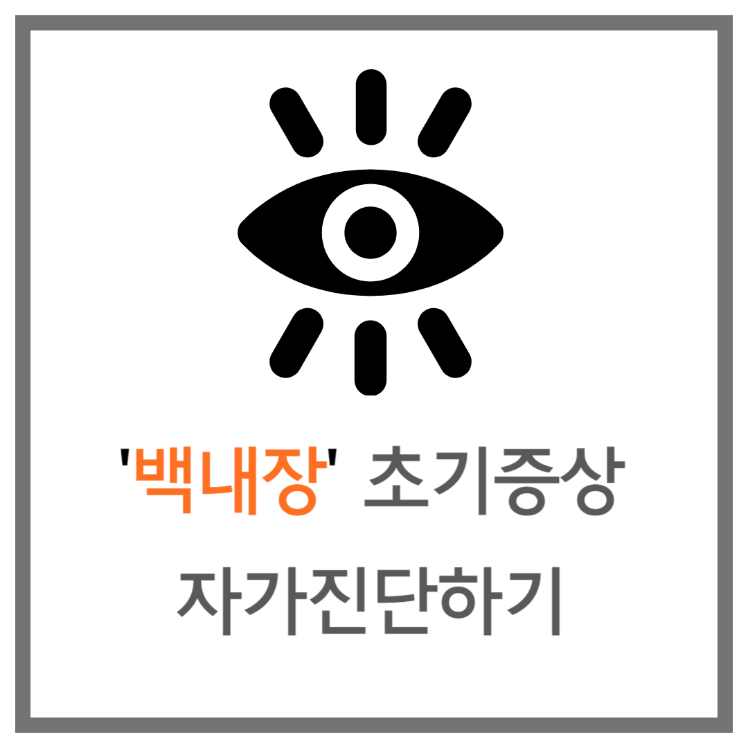 백내장 초기증상 자가진단