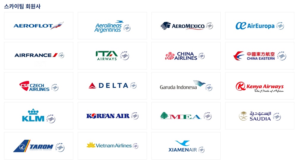 스카이팀-항공동맹-소속-항공사-로고-모음-표