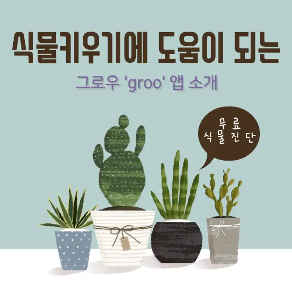 식물키우기앱 '그로우앱'