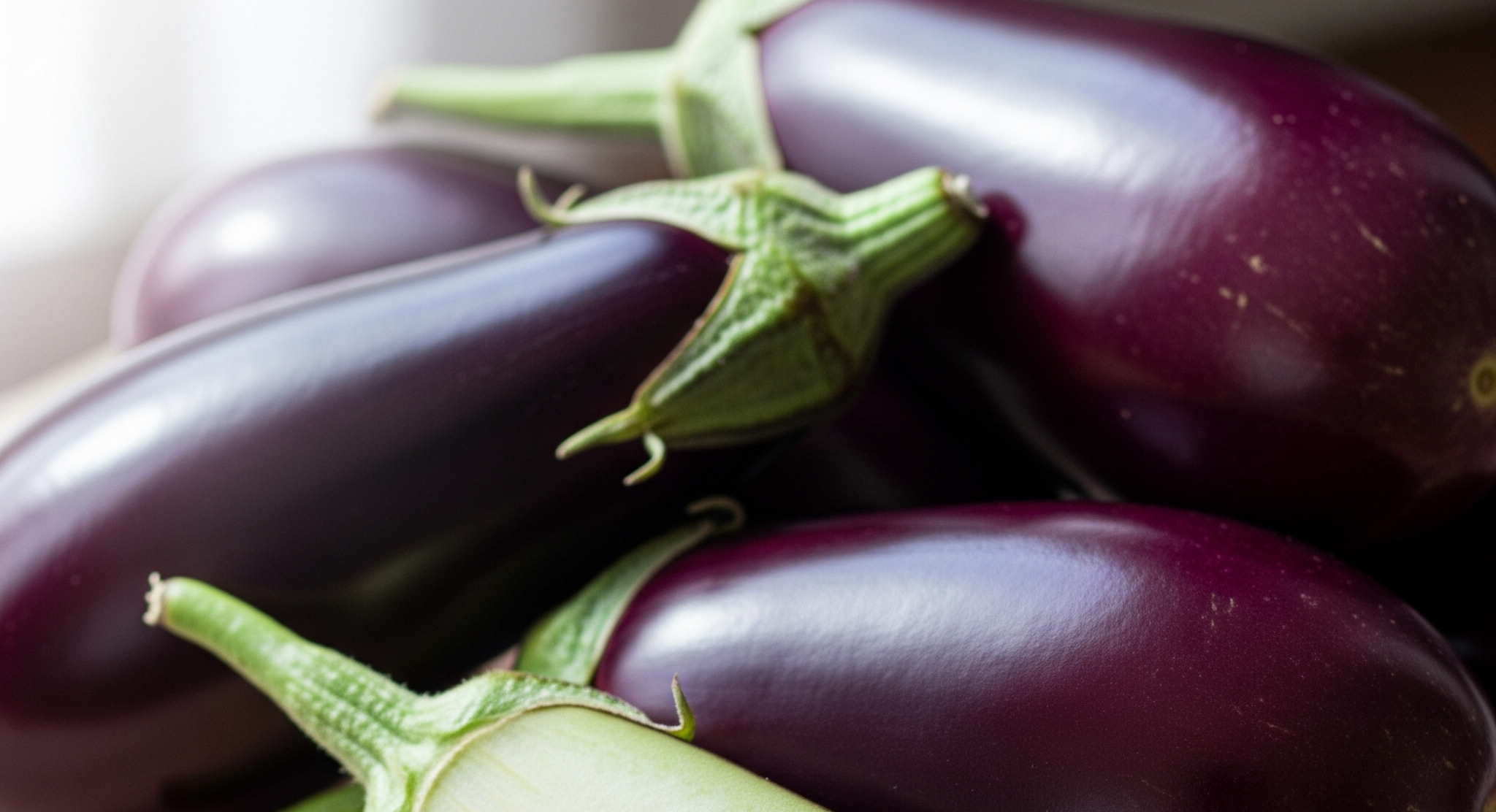 가지 관련 이미지