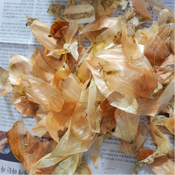 양파 보관방법 마무리