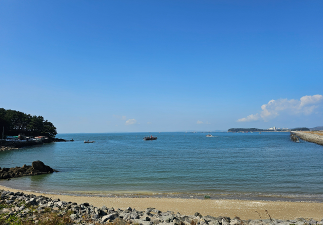 보령 살기 좋은 동네 vs 불편한 동네 &mdash; 실제 생활 기준으로 보는 지역별 장단점