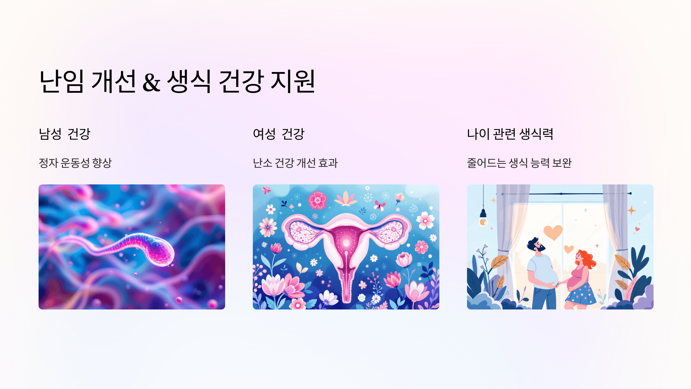 코큐텐과 관련된 사진입니다.