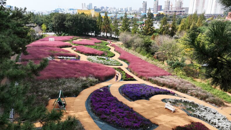 제22회 익산 천만송이 국화축제 2025 : 일정·프로그램·볼거리 총정리