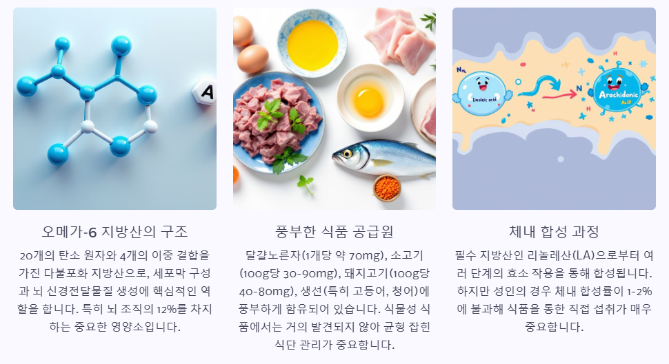 아라키돈산이란