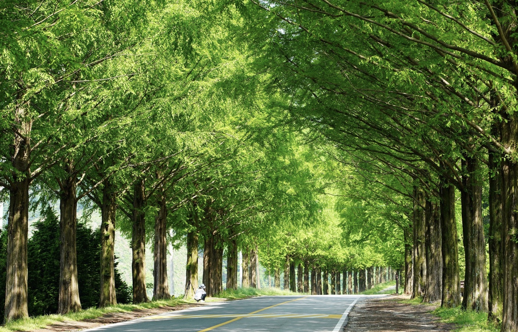 강원도 차박 관련사진