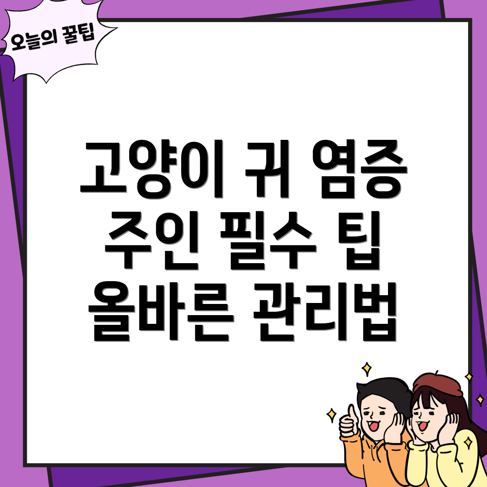고양이 귀 감염 관리
