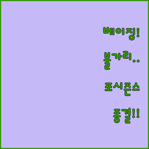 베이징 럭셔리 숙소 불가리 포시즌스 ..