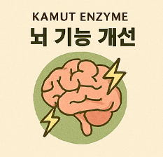 카무트 효소 효능