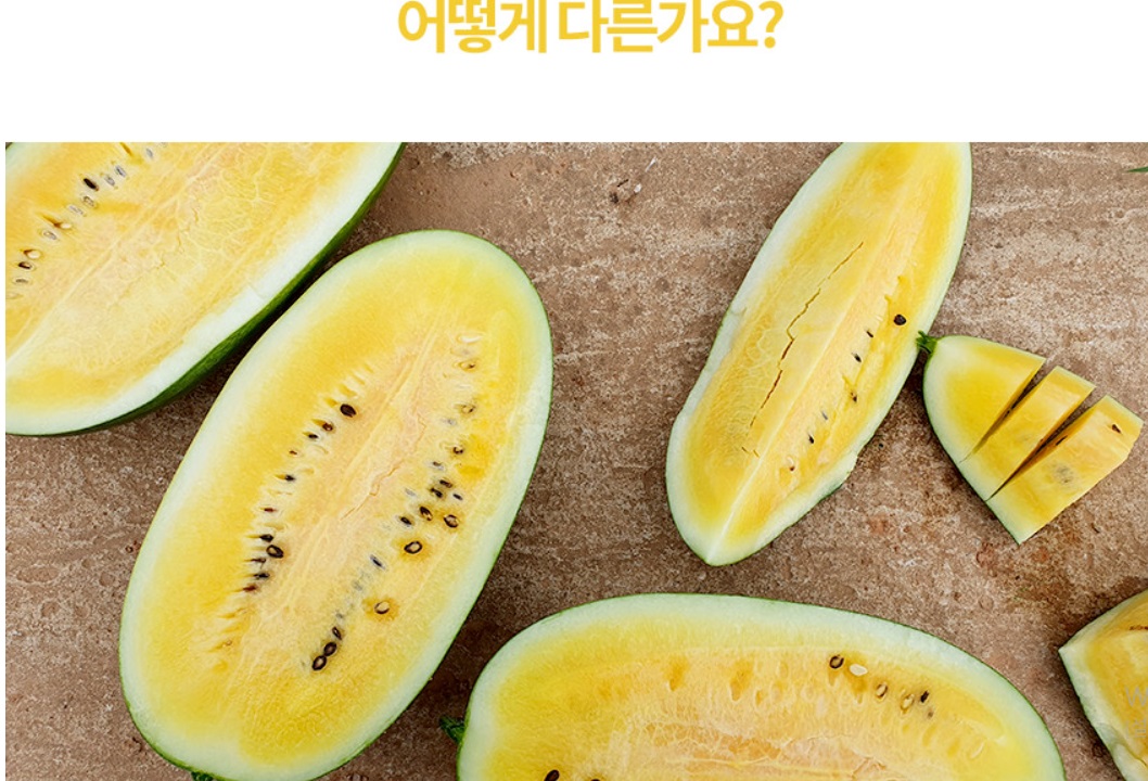 EBS-극한직업-전북-고창-블랙망고수박