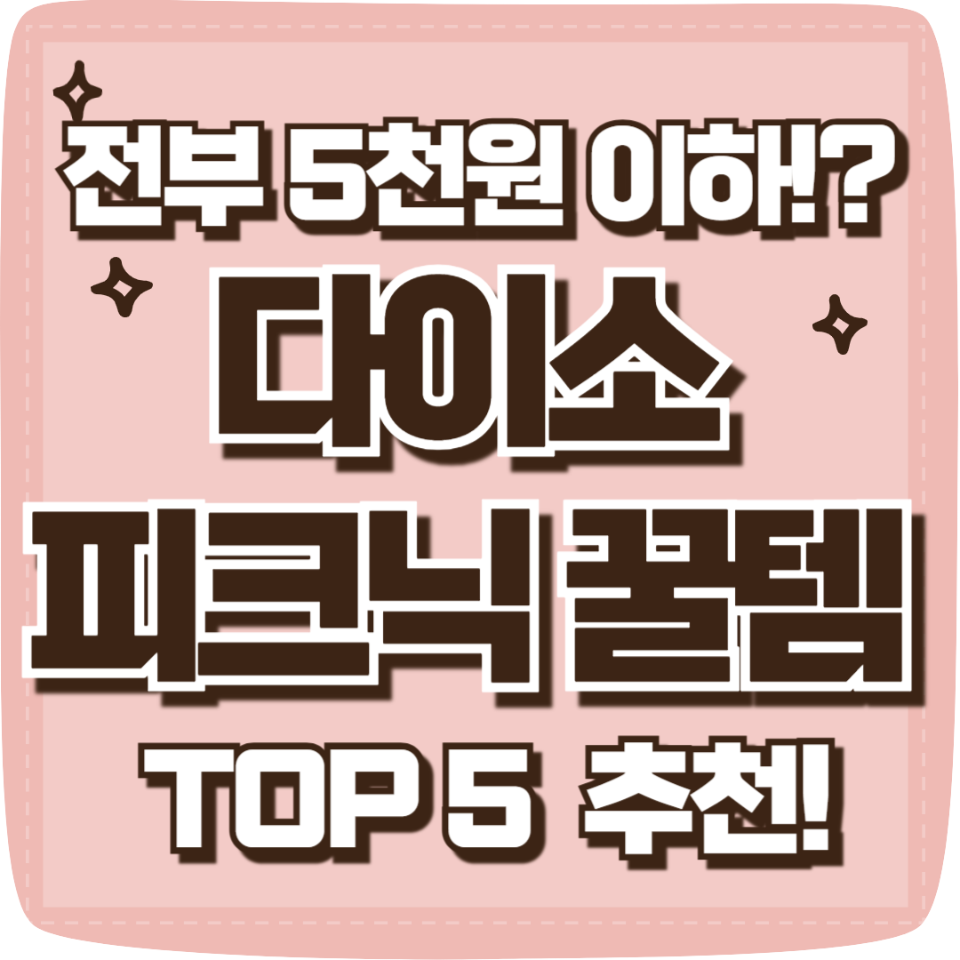 다이소 피크닉템 추천