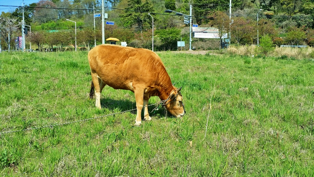 주일 예배 대표 기도문 1월 다섯째 주