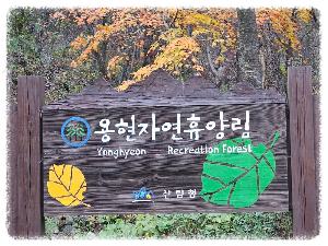 용현계곡